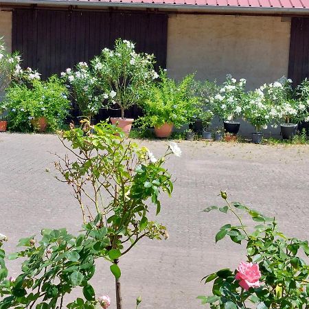 Apartament Landpartie Freckenfeld Zewnętrze zdjęcie