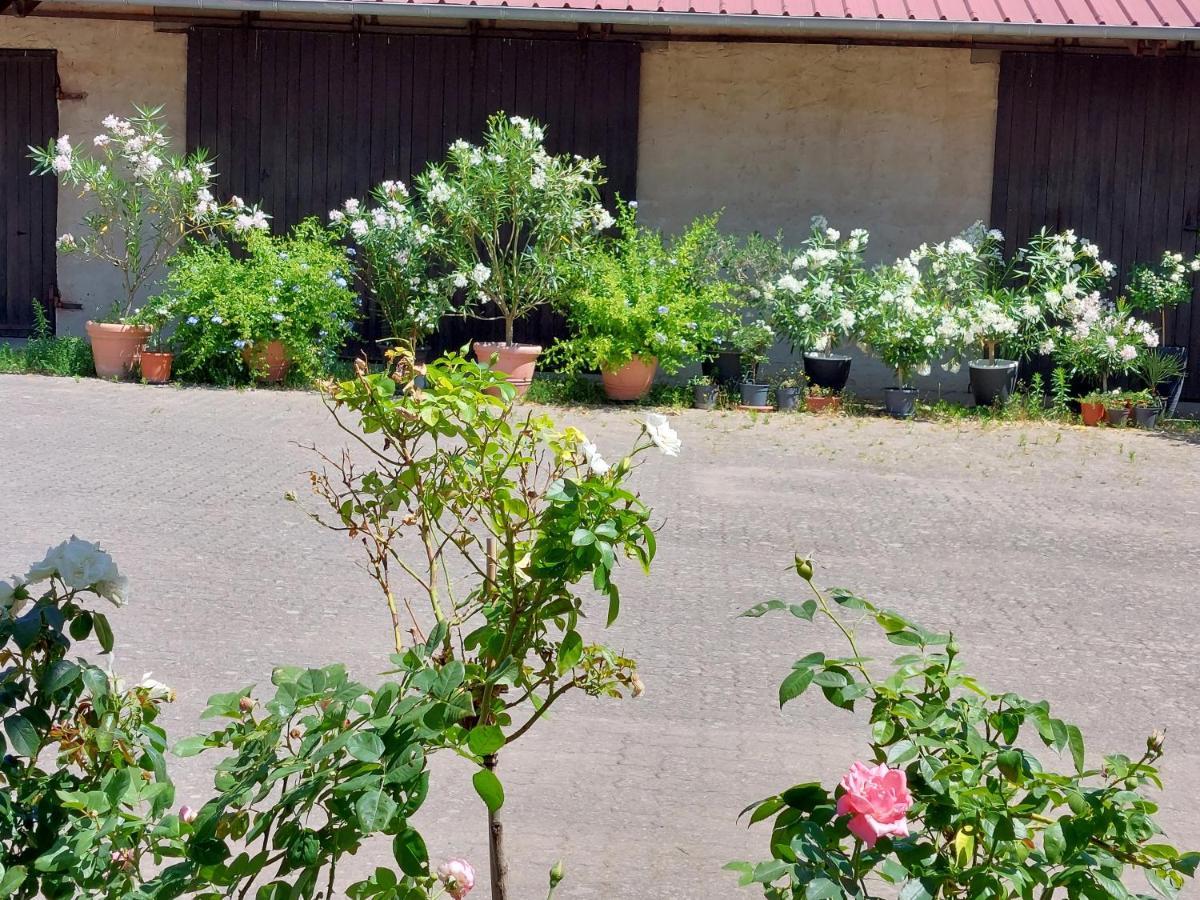 Apartament Landpartie Freckenfeld Zewnętrze zdjęcie