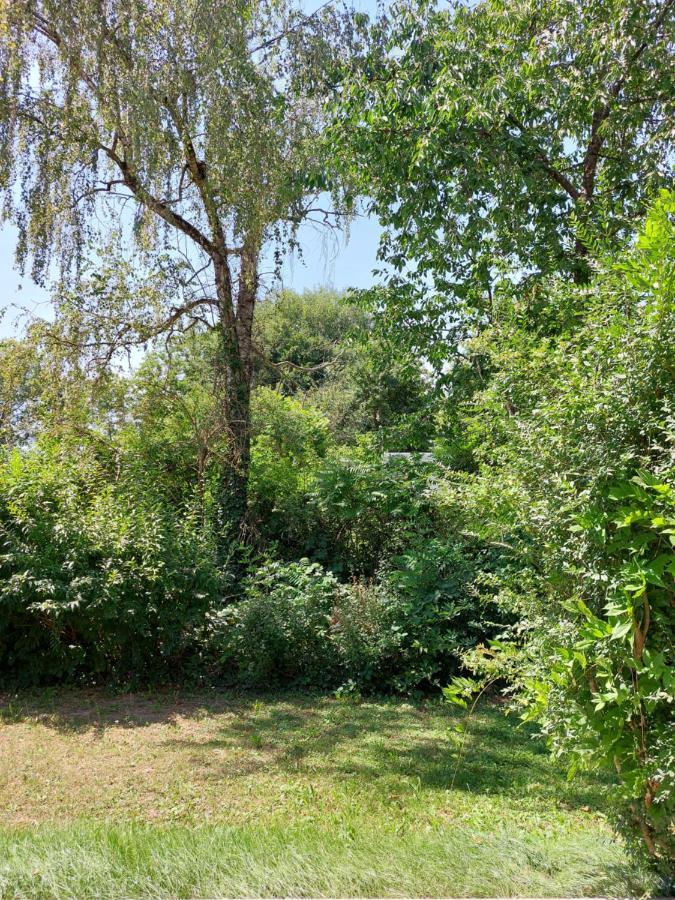 Apartament Landpartie Freckenfeld Zewnętrze zdjęcie